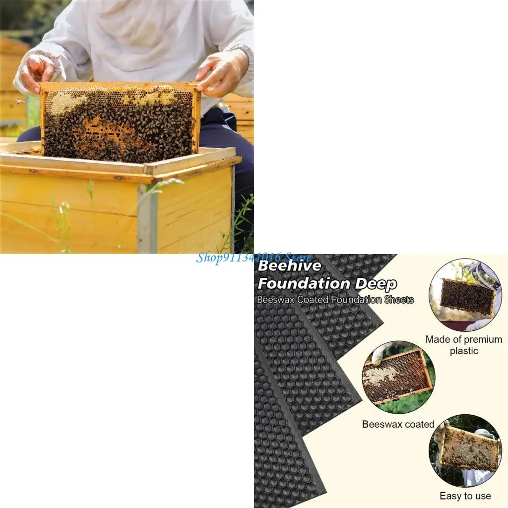  Pack of 10 Lightweight Recyclable Plastic Bees Hives Substructure Sheets Easy to Handle for Portable Beekeeping Operations