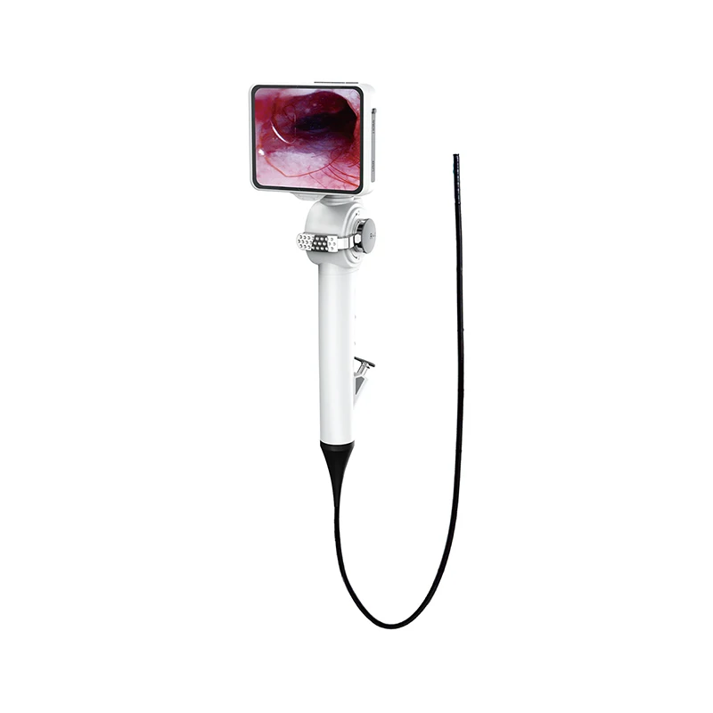 Inexpensive Veterinary Endoscopy Multifunctional Flexible Endoscopy Otolaryngology/Cystoscope/Bronchoscope