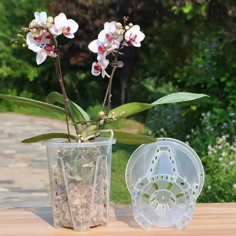 Transparent Orchid Pot Root Control Plastic Planter with Ventilation Holes Breathable Flower Growing Container for Phalaenopsis