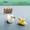 Duck