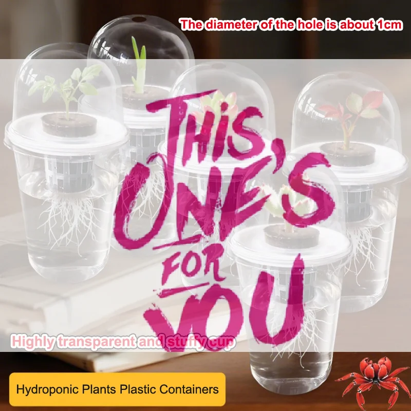 1/5Pcs Visible Clear Plants Germination Cup Transparent Plastic Nursery Growing Box Indoor Garden Greenhouse Seed Starter Tray