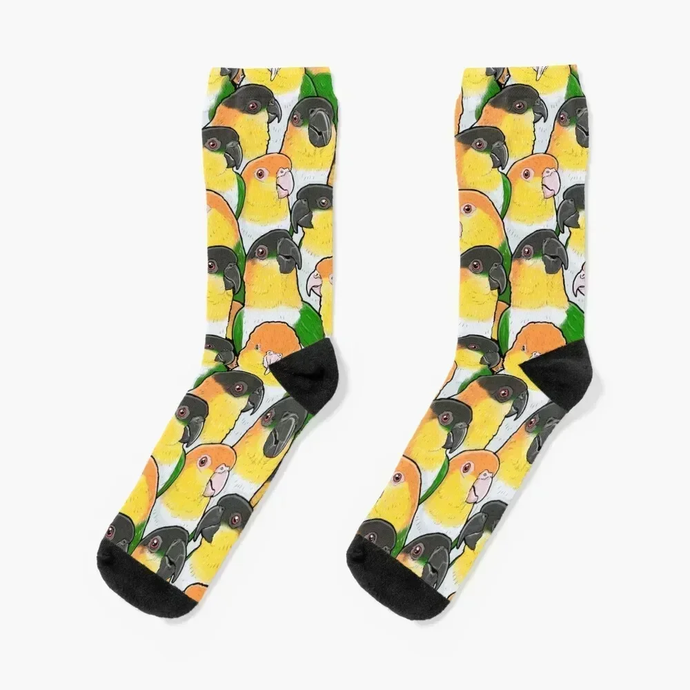 

Caique Parrots Socks floor valentine gift ideas Novelties gym Socks Man Women's