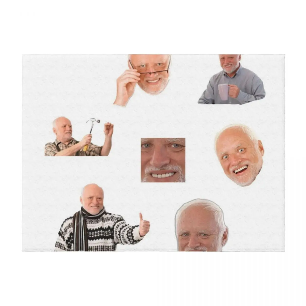 

Hide The Pain Harold Throw Blanket warm winter Picnic Vintage Bed Blankets