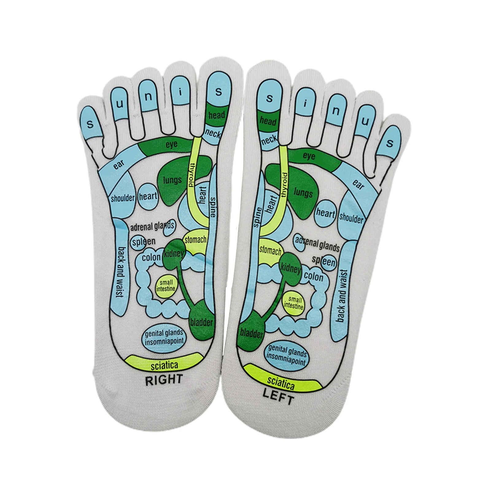 Acupressure Reflexology Socks Foot Massage Reflection Area Schematic Socks with Massage Stick Reflexology Zones Marked Socks