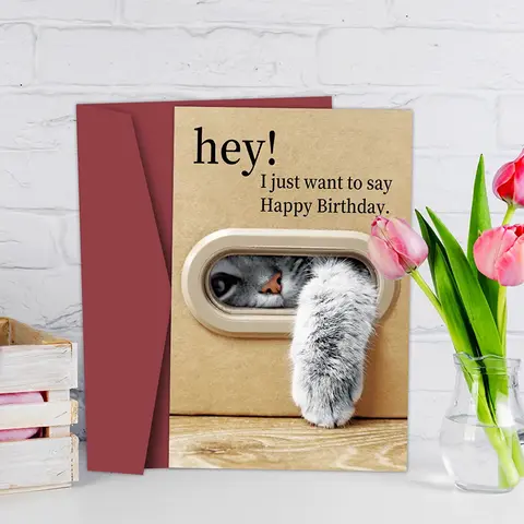 Bilashmart 【P】Cute Cat Birthday Card, Playful Kitty Paw Design,Happy Birthday Card With Envelope, Best Gift For Cat Lover, Family, Friends
