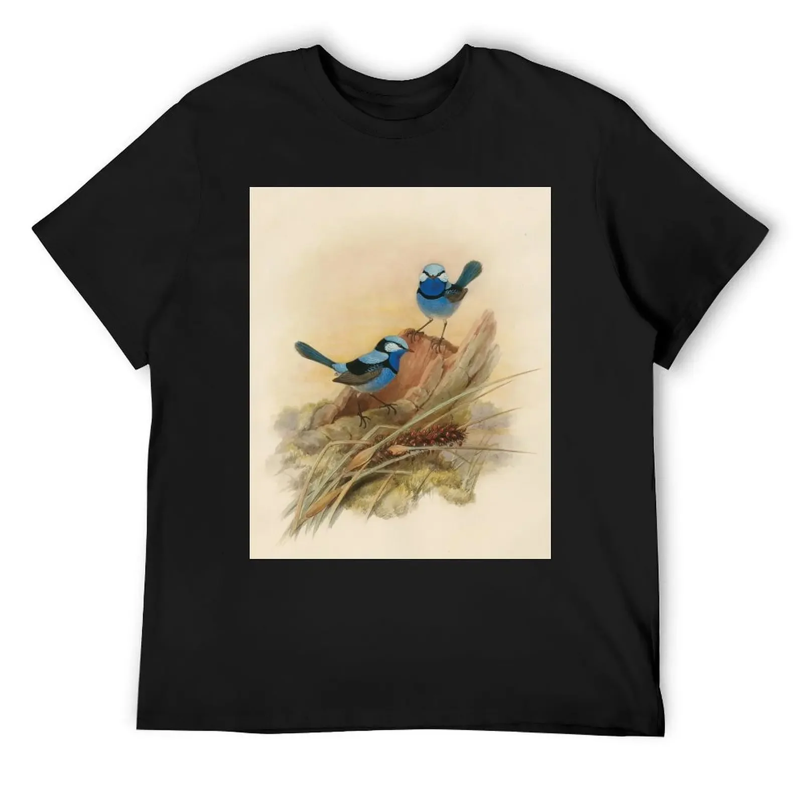 Splendid fairy wren, circa 1867 T-Shirt blacks customs design your own new edition plus sizes oversized t shirt men