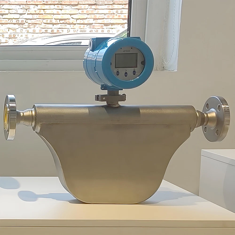 Low Price 3 Inch Coriolis Mass Flow Meter Acid CNG Exproof Liquid Battery Powered Customized OEM Plastic for Gas Air Water Oil