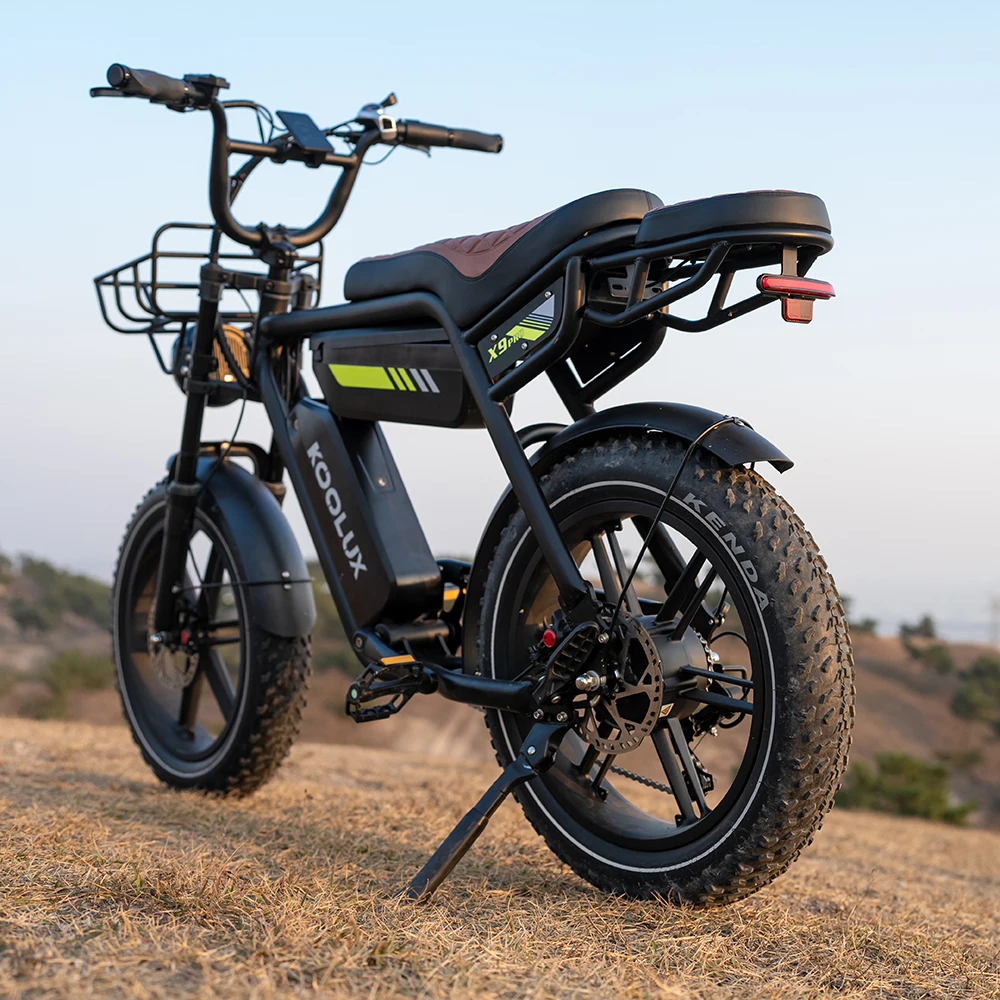 Dual Battery Aluminum Fat Tire Electric Mountain Bike 48V Off-Road E-Bike 150kg Load