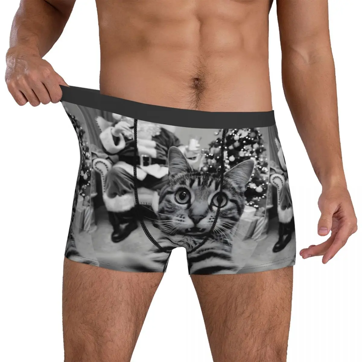 

Christmas Santa Claus Merry X-Mas Funny Cat Selfie Underwear Comfortable Panties DIY Shorts Briefs Pouch Plus Size Boxershorts