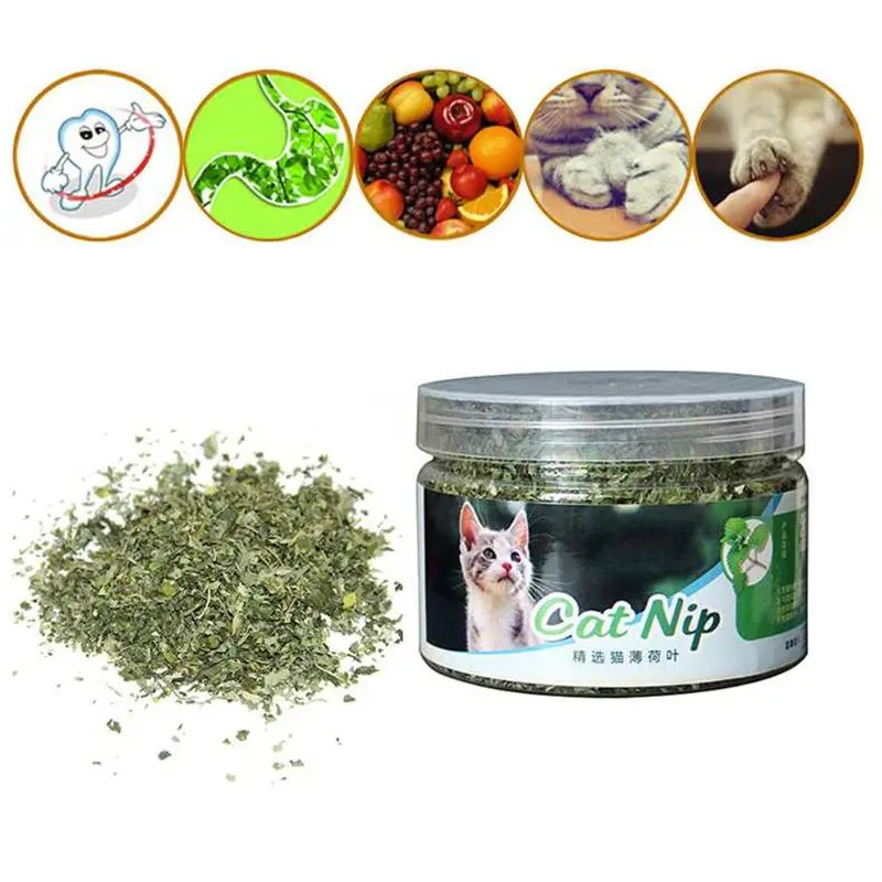 Pet Dental Care Mints for Cat Mint Treats for Cat for Fresh Breath Catnip Treats 0.18 oz for Pet for Cat Healthy Teeth