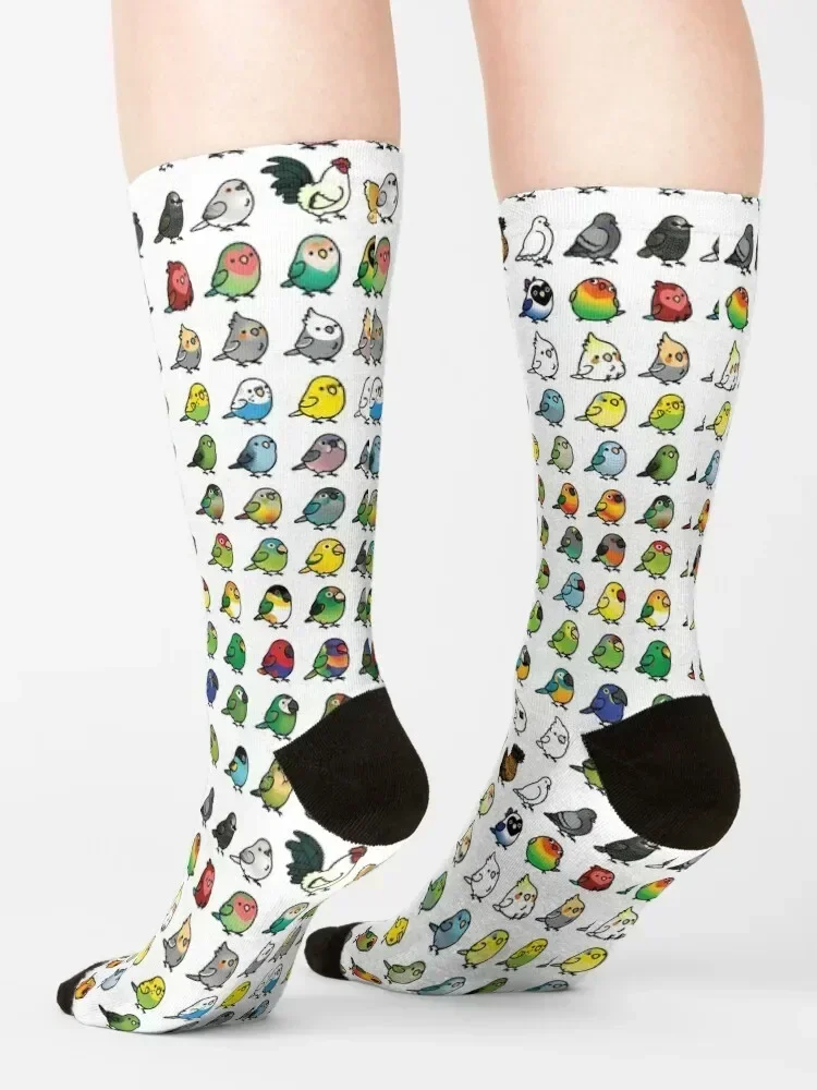 Everybirdy Collection Socks kawaii hiphop hockey cotton Men Socks Women's