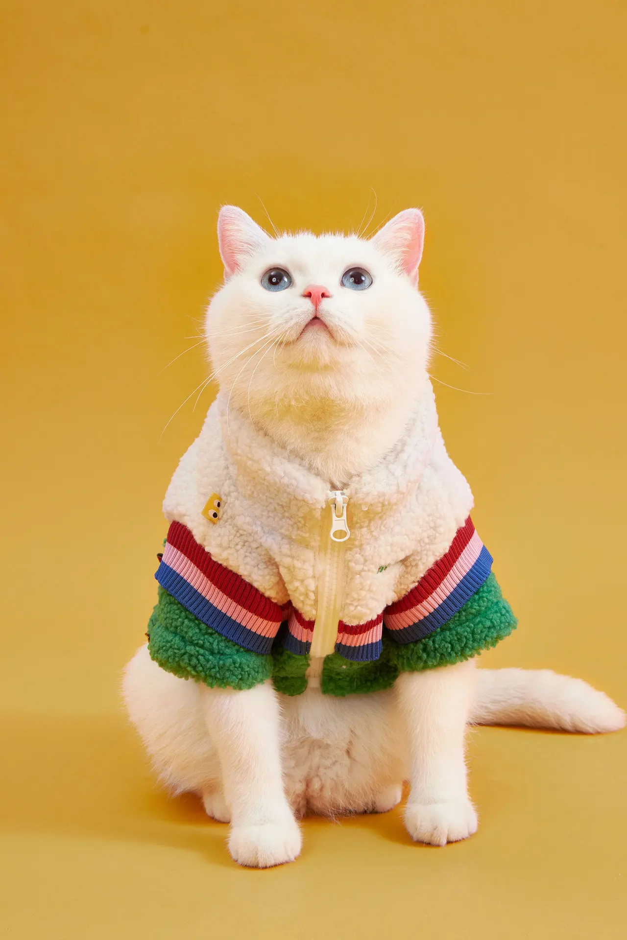 Thickened Fleece Coat for Dogs and Cats, Retro Zipper Jacket, Small and Medium Dog Outwear, Pet Costume Clothes, Winter