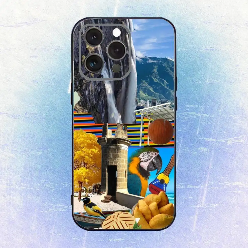 حافظة هاتف مطبوعة فنية إلكترونية من فنزويلا لهواتف iPhone 17,16,15,14,13,12,11 Plus، Pro Max، XS، غطاء أسود من السيليكون الناعم #6