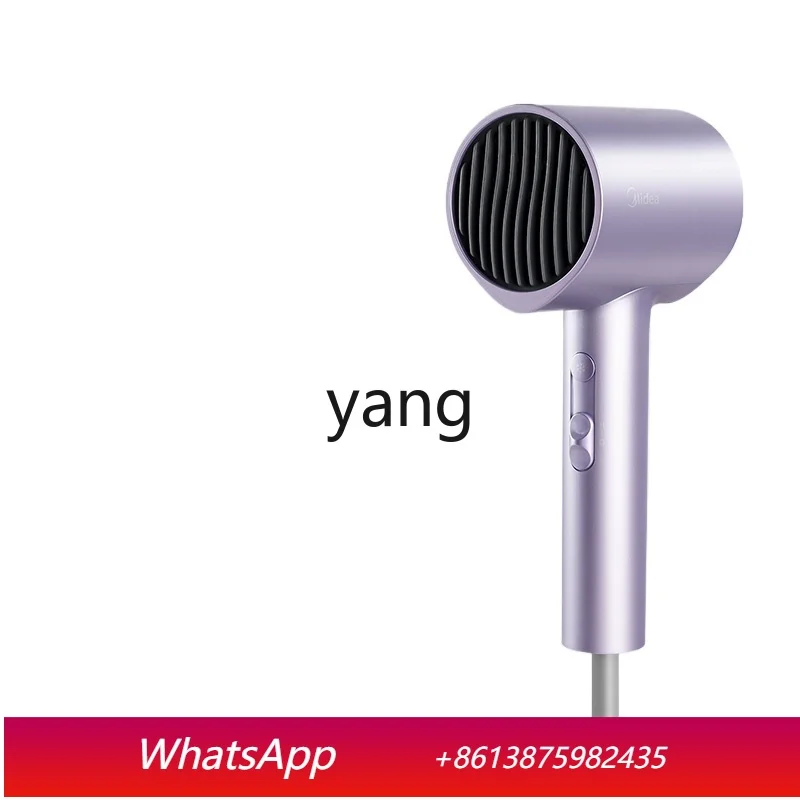 LH Household Anion Hair Care Strong Wind Quick-Drying Hair Dryer
