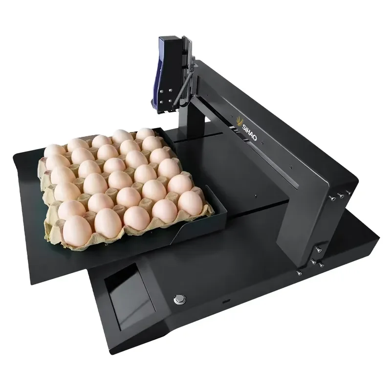 Single head automatic UV inkjet flatbed printer XP600 2400 DPI 40 Ppm label valid period barcode printing coder