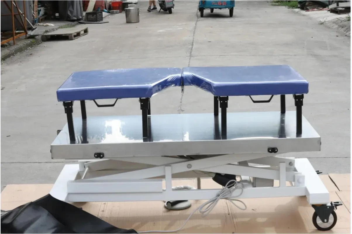 Aeolus Professional Mobile Lifting Echocardiography Vet ممارسة تصوير القلب #6