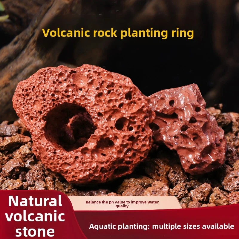 Red Lava Rock Planting Ring – Perforated Aquarium Plant Anchor for Carpeting Plants, Heavy Volcanic Stone Holder for Planted Tan