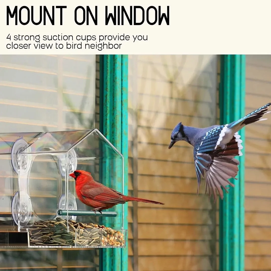 Window Bird Feeder Refillable Sliding Tray Outside Weather Rain Squirrel Proof Resistant Drain Rain Water Clear Transparent Bird