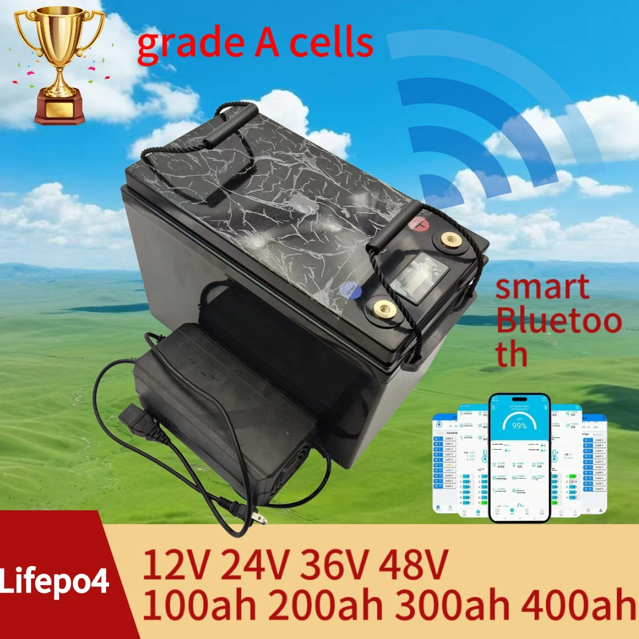 12V 24V 36V 48V 100AH 150Ah 200AH 300Ah 400Ah LiFePO4 Lithium Battery Bluetooth BMS APP for Solar Inverter EV Fishing Boat