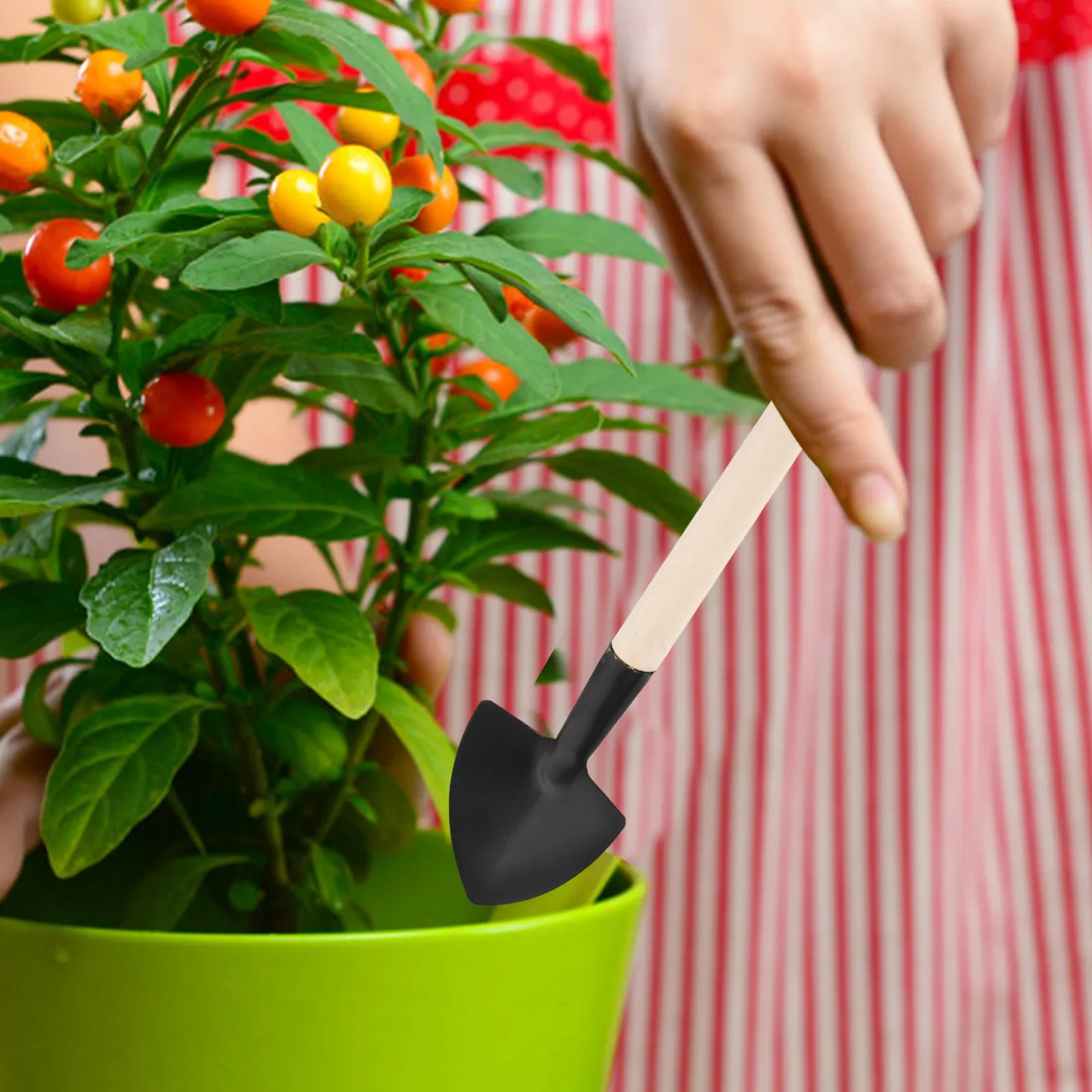 

9Pcs Stainless Steel Gardening Tools Set Compact Shovel Rake for Fertilizer Bird Feed Pot Plants Garden Flower