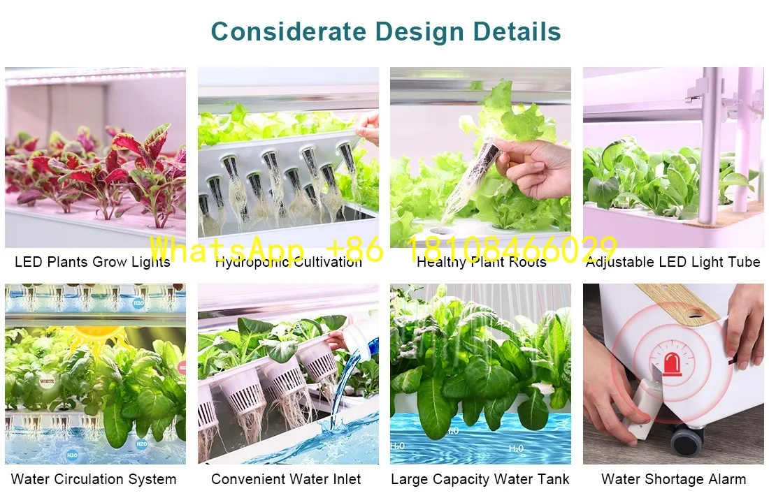 مستلزمات الزراعة تنمو الخضروات في الأواني حديقة المنزل التلقائي نظام الزراعة المائية العمودية كاملة للري Aquaponics #1