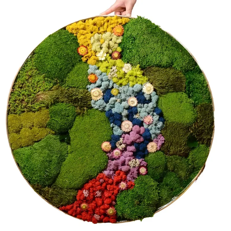 Wholesale Office Home Decoration 3D Real Natural Round Metal Green Wall Art Shadow Frame Stabilized Preserved Pole Reindeer