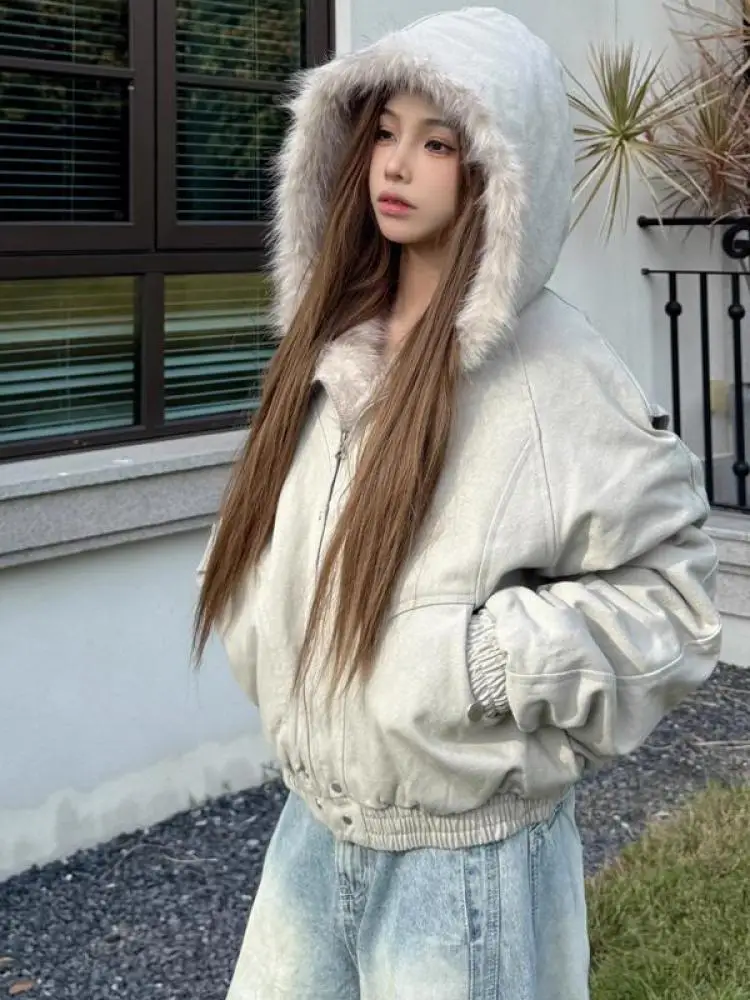 Coréen 2025 nouveau hiver noir à manches longues coton fermeture éclair en peluche veste femmes gris à capuche court Parkas chaud manteau décontracté Streetwear