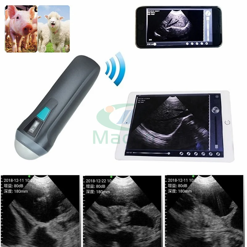 MC100vet Great performance Veterinary ultrasound equipment wireless usg probe for sheep and pig