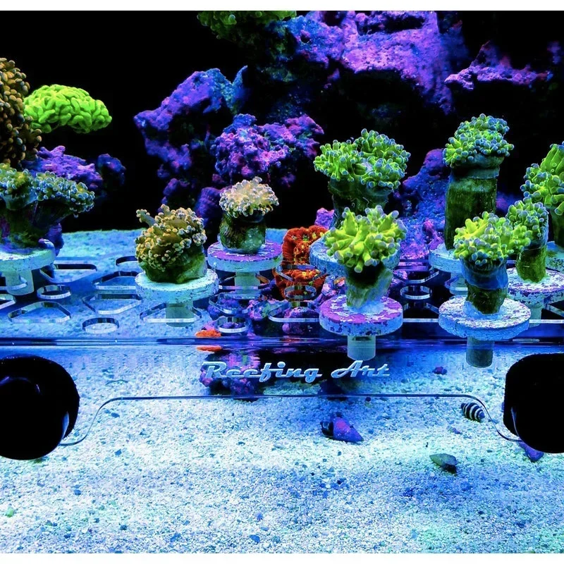 Reefing Art Super Clear Acrylic Magnetic Coral Frag Plugs Rack Holder Fish Tank for 15 - 20MM Glass Thickness