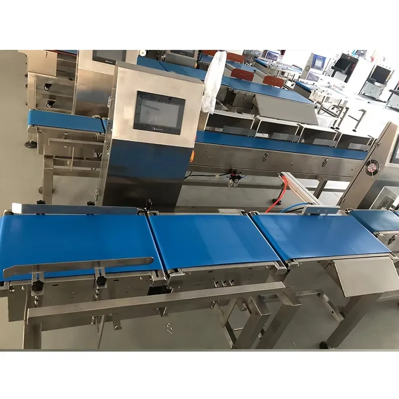 Automatic Conveyor Belt Food Scale Check Weigher With Rejector System Combined Convey Belt Checkweigher for Food