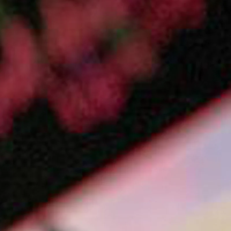 110V/220V Electric …