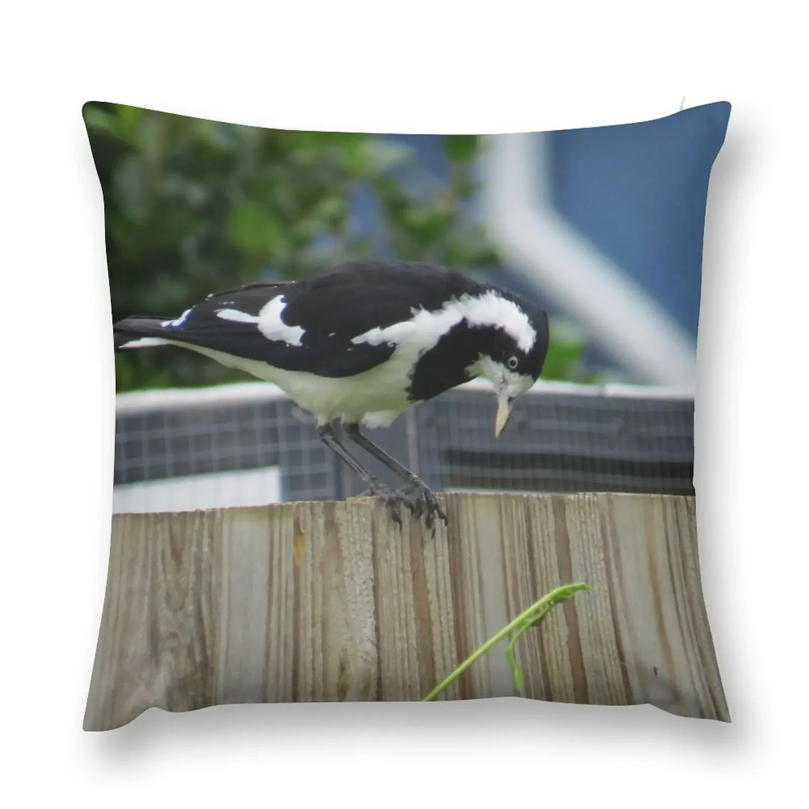 Mrs. Magpie Lark Throw Pillow Sofa Cushions Covers Sitting Cushion pillow