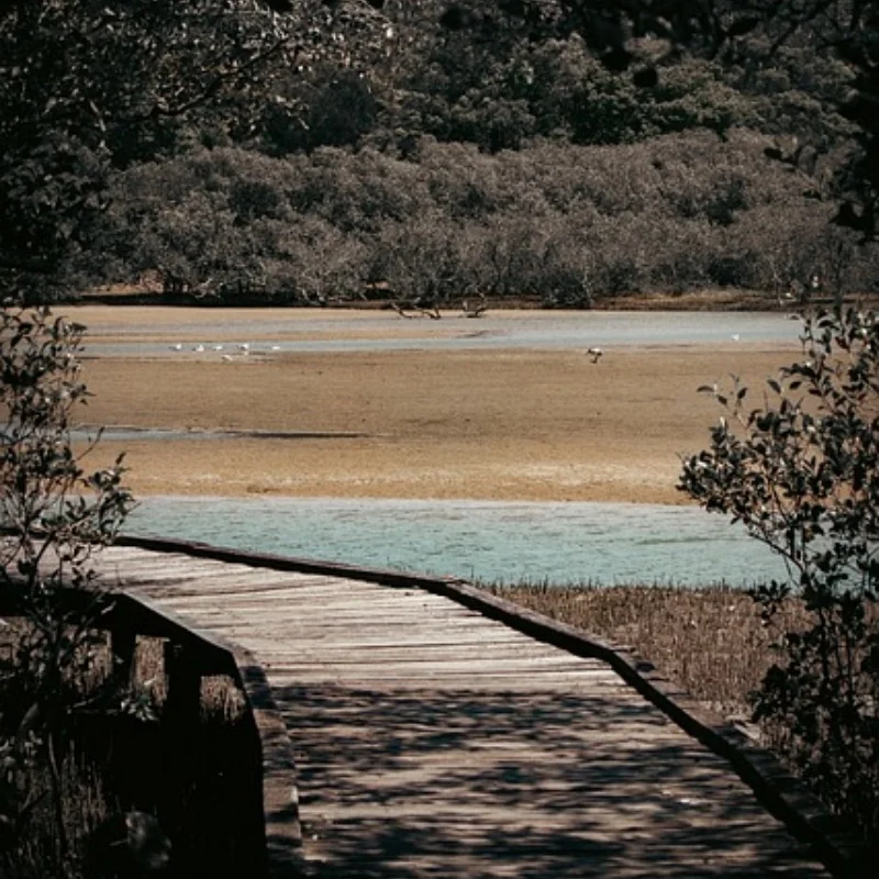 

Металлический бампер со лебедкой 2, светодиодный светильник, приемник пульта дистанционного управления для TRX-4 TRX4 Traxxas Axial SCX10, радиоуправляемый гусеничный автомобиль, запчасти