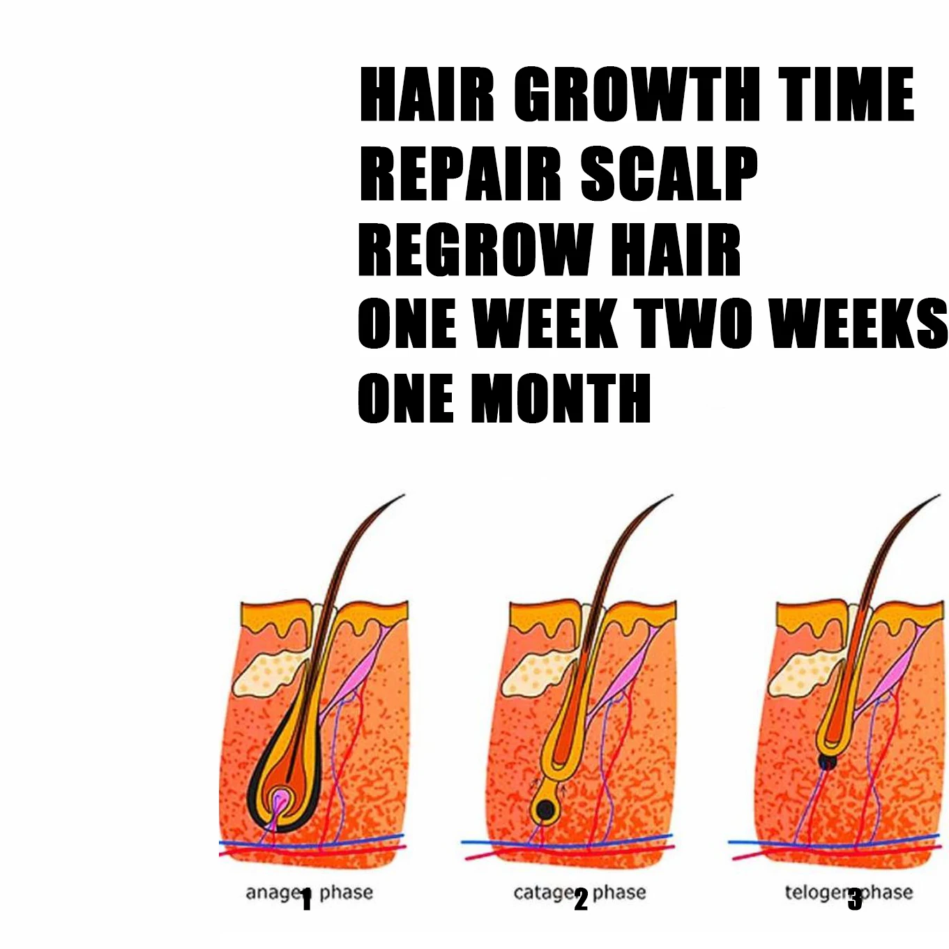 

Anti-Baldness Hair Growth Serum, Effective for Men Women Receding Hairline & Top Scalp Bald Spot