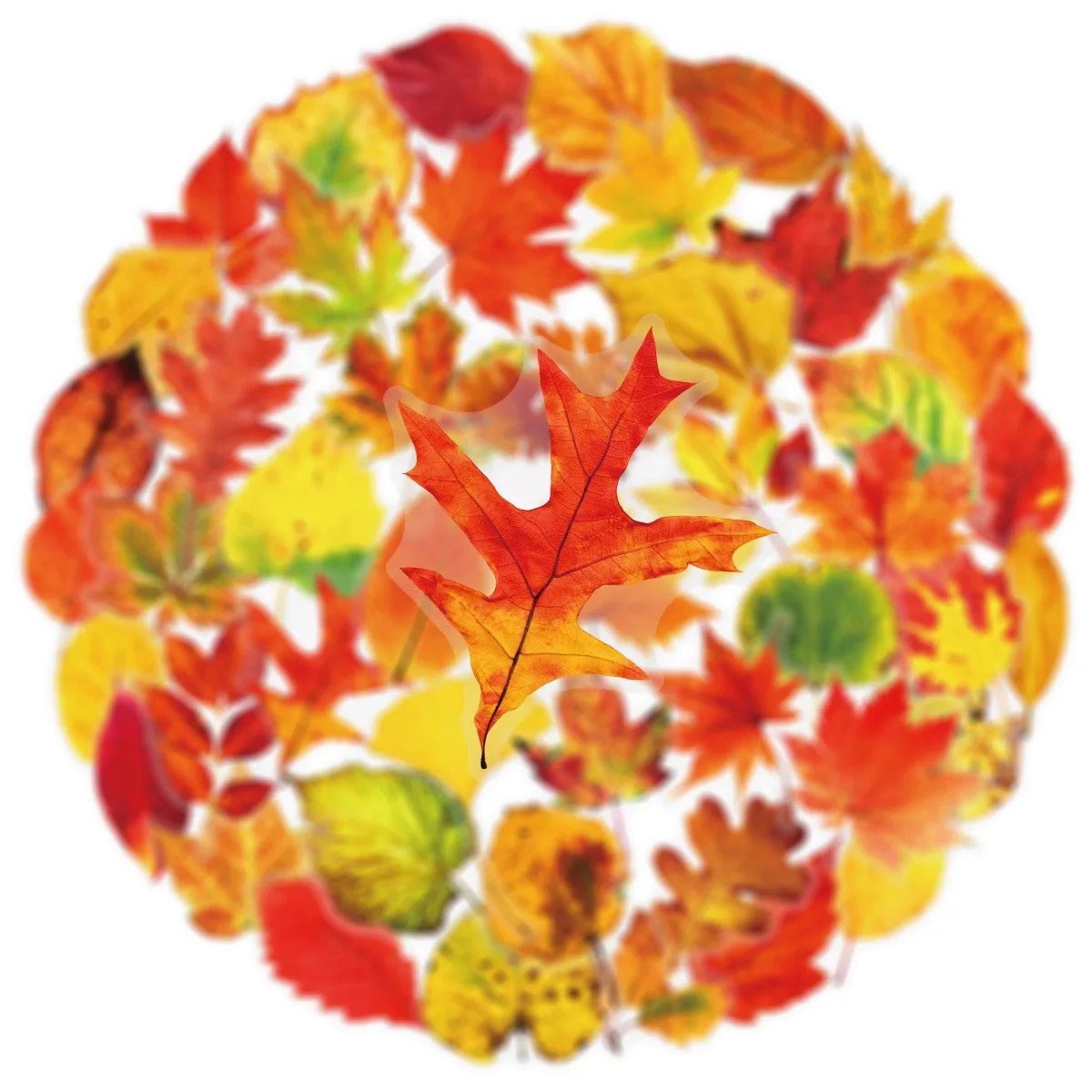 Рисунок 3 - прозрачные наклейки в скандинавском