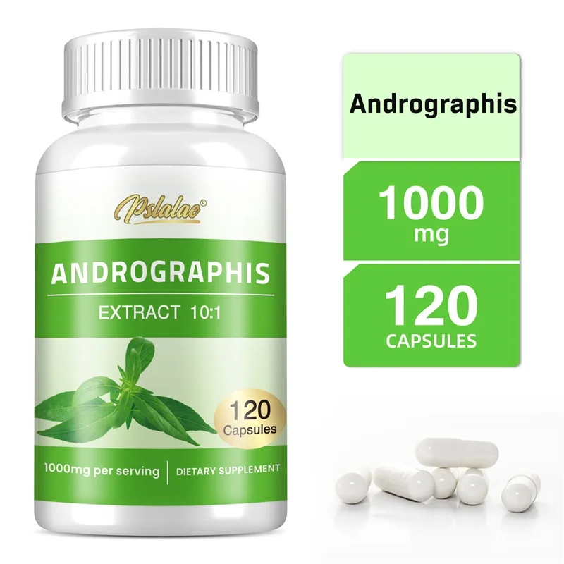 Andrographis 1000mg - Immune Support and Joint Health - Non-GMO, Gluten Free