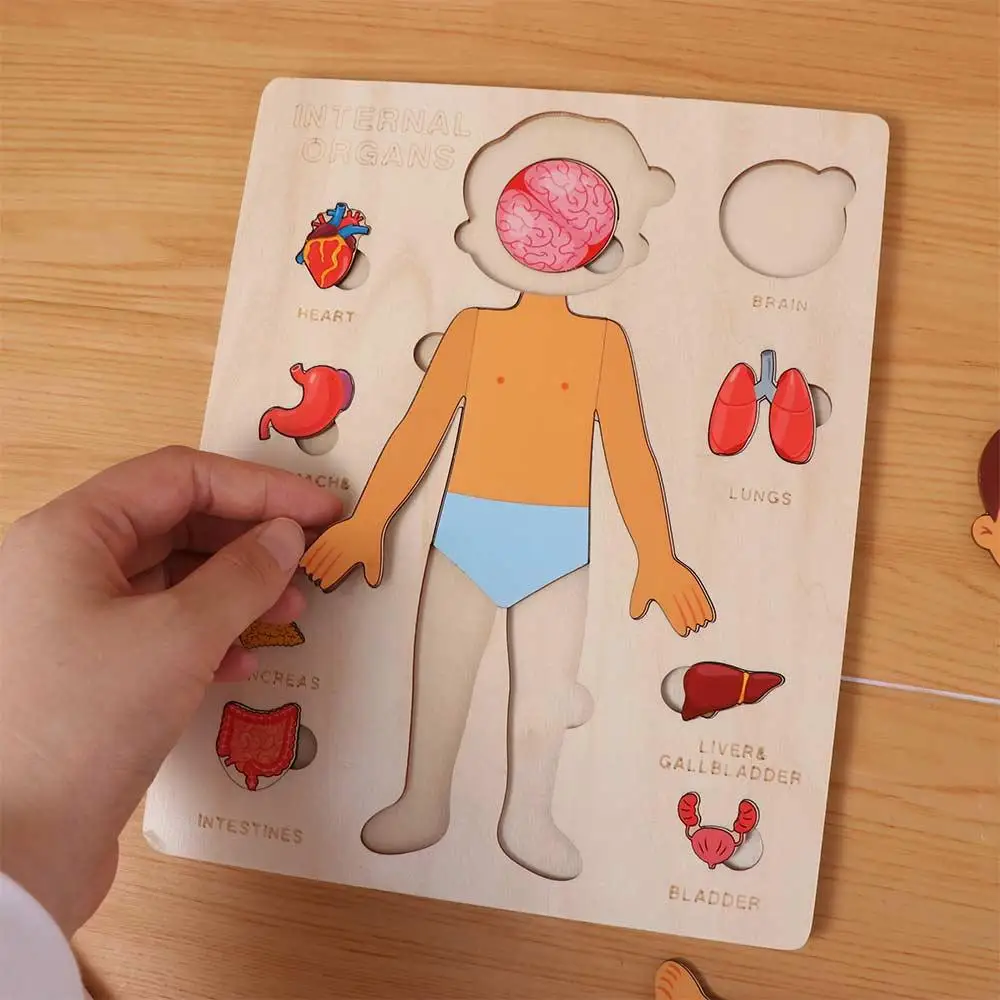 Puzzle in Legno Multistrato del Corpo Umano, Attività per Bambini e Bambine, Tavola delle Attività, Puzzle della Struttura del Corpo, Interazione Genitore-Figlio Montessori