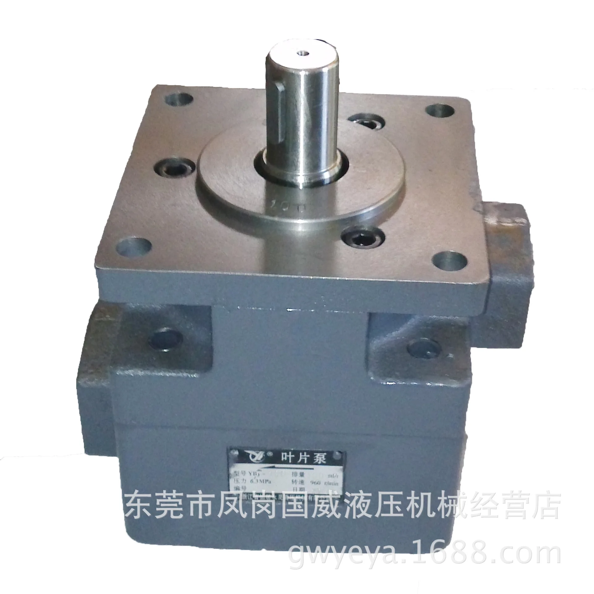 7163 Guibei surface grinder Yongling YLC large water mill hydraulic pump, vane pump YB1-100