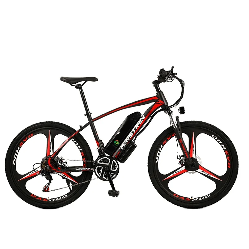 

750W Electric Folding City Bike 48V 48V Lithium Battery Steel Frame Electric Mountain Bike With Fat Tire