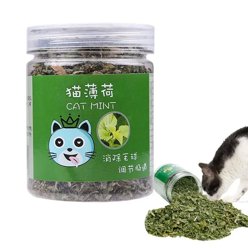 Cat Nips Organic Natural Cat Nips To Energizes And Excites Cats 20g Cat Training And New Organic Catnip Toys For Cats Cat