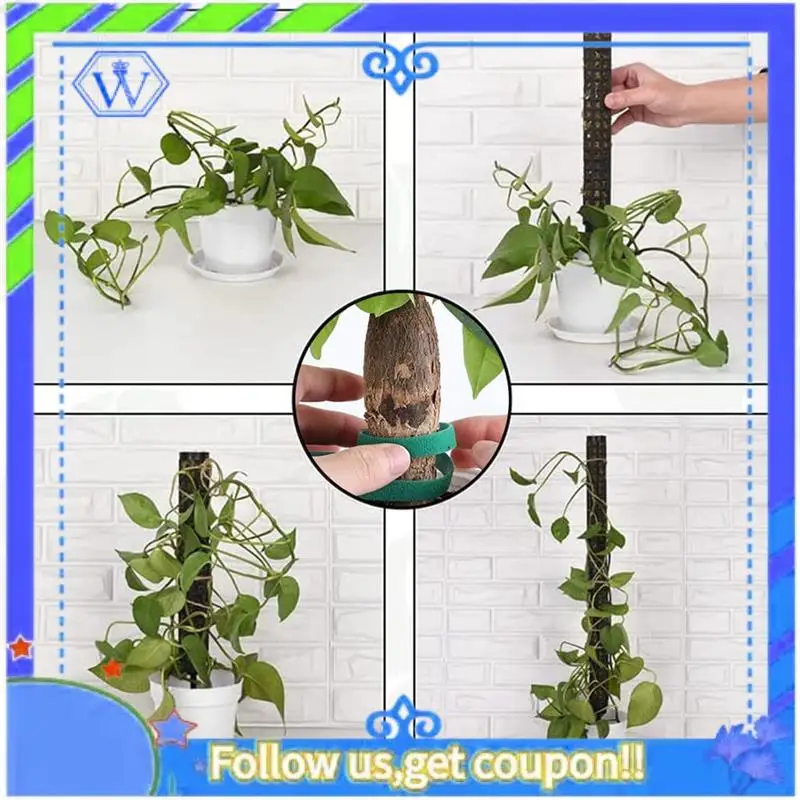 

Easy To Use 6 Pieces Monstera Trellis Moss Stick Plant Stake Indoor Plants Coconut, Plant Stake, Moss Pole, Climbing Aid