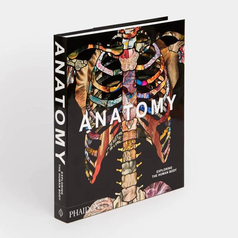 Anatomy Phaidon Editors Phaidon Press 9780714879888 Book