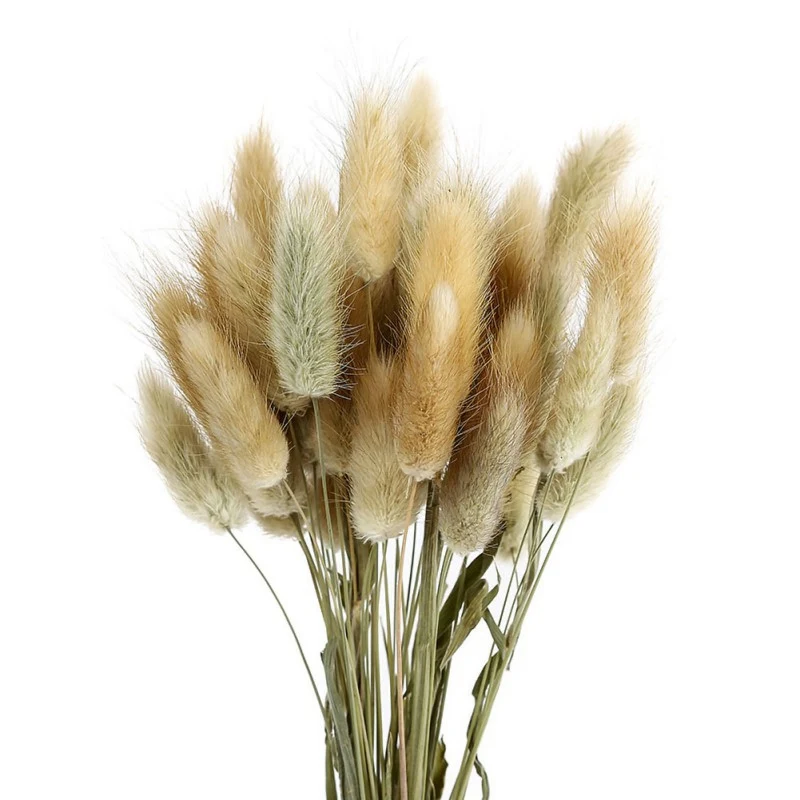 50pcs Dried Rabbit Tail Grass Flowers Artificial Plant Bouquets  Wedding Party Home Desktop Decorative Flowers Eternal Flower