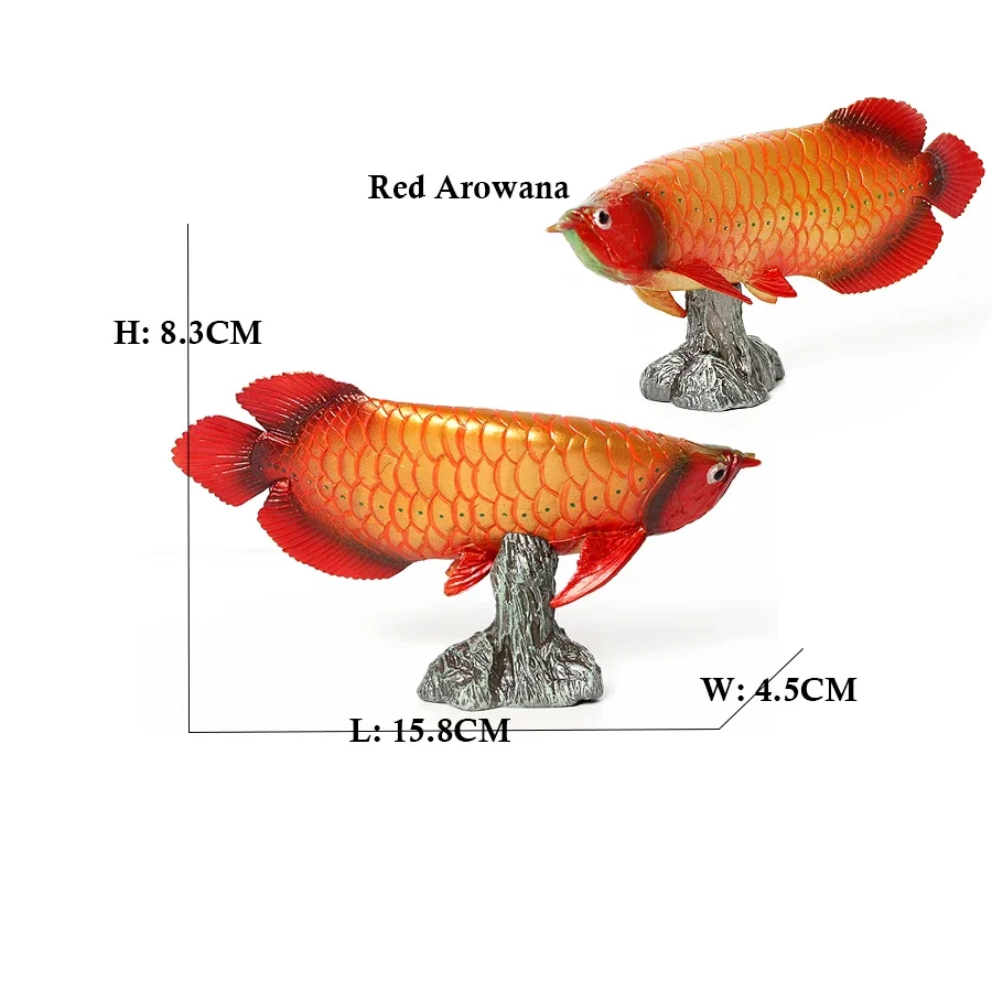 Arowana Pirarucu Coelacanth Bichir Alligator fish Model Marine Animal Action Figures Collectible Toys for Kids Educational Gifts