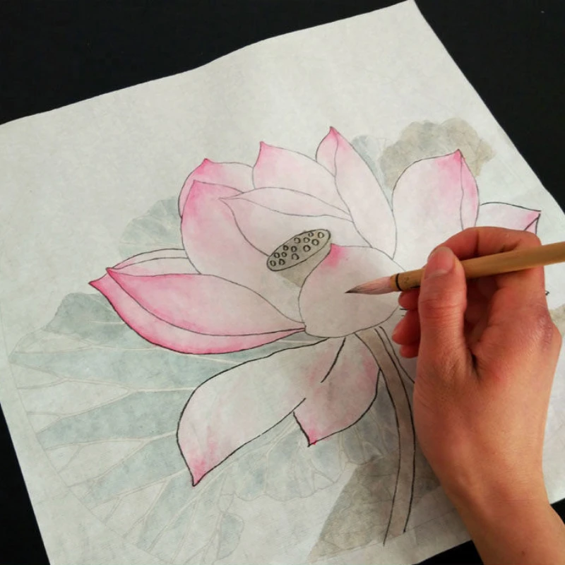 Chinese Painting Copying Draft Ripe Xuan Paper Line Draft Meticulous Painting Coloring Flowers Birds Getting Started Line Drafts