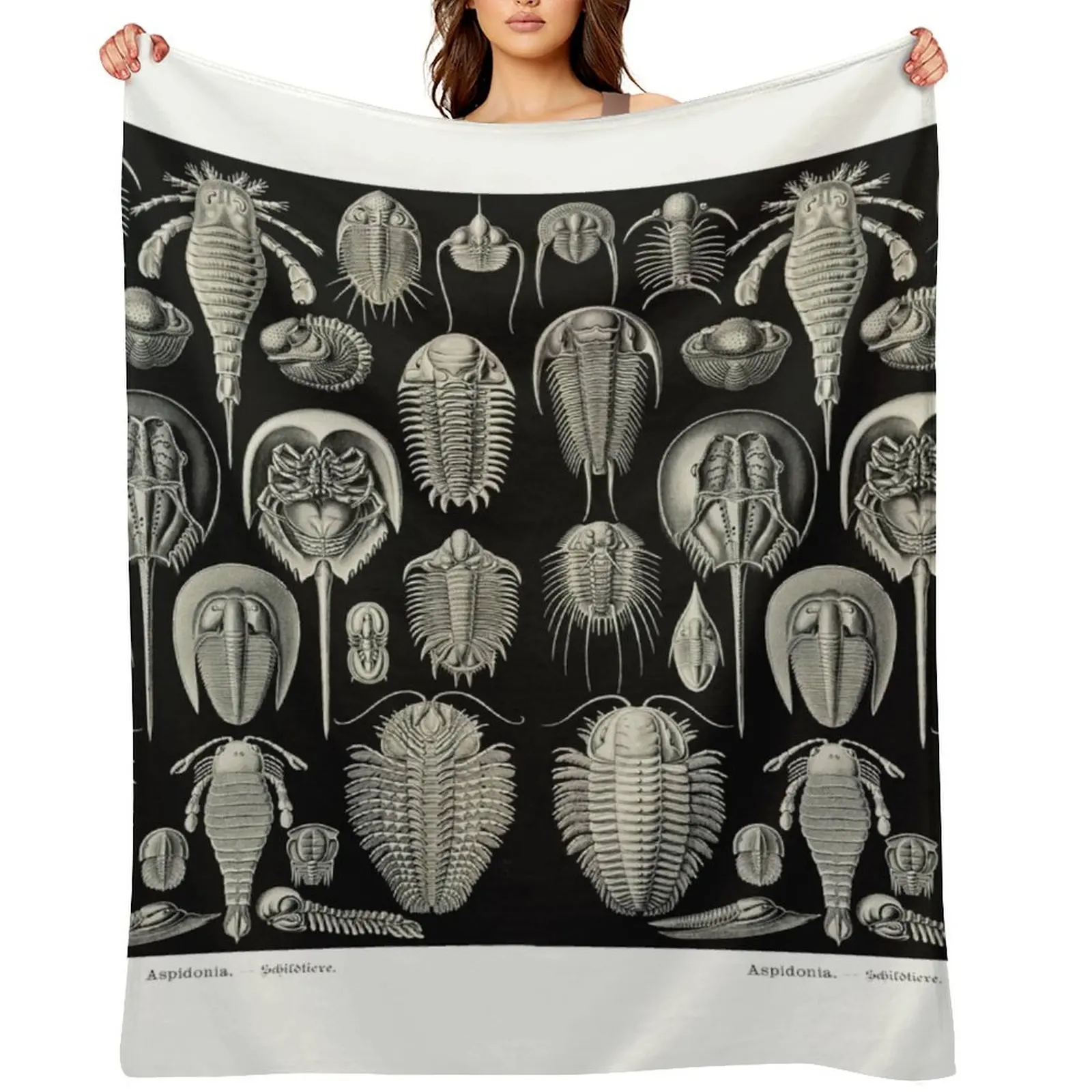 

Plate 47. Trilobites and Sea Scorpions Throw Blanket Furrys For Sofa Thin blankets ands Moving Blankets