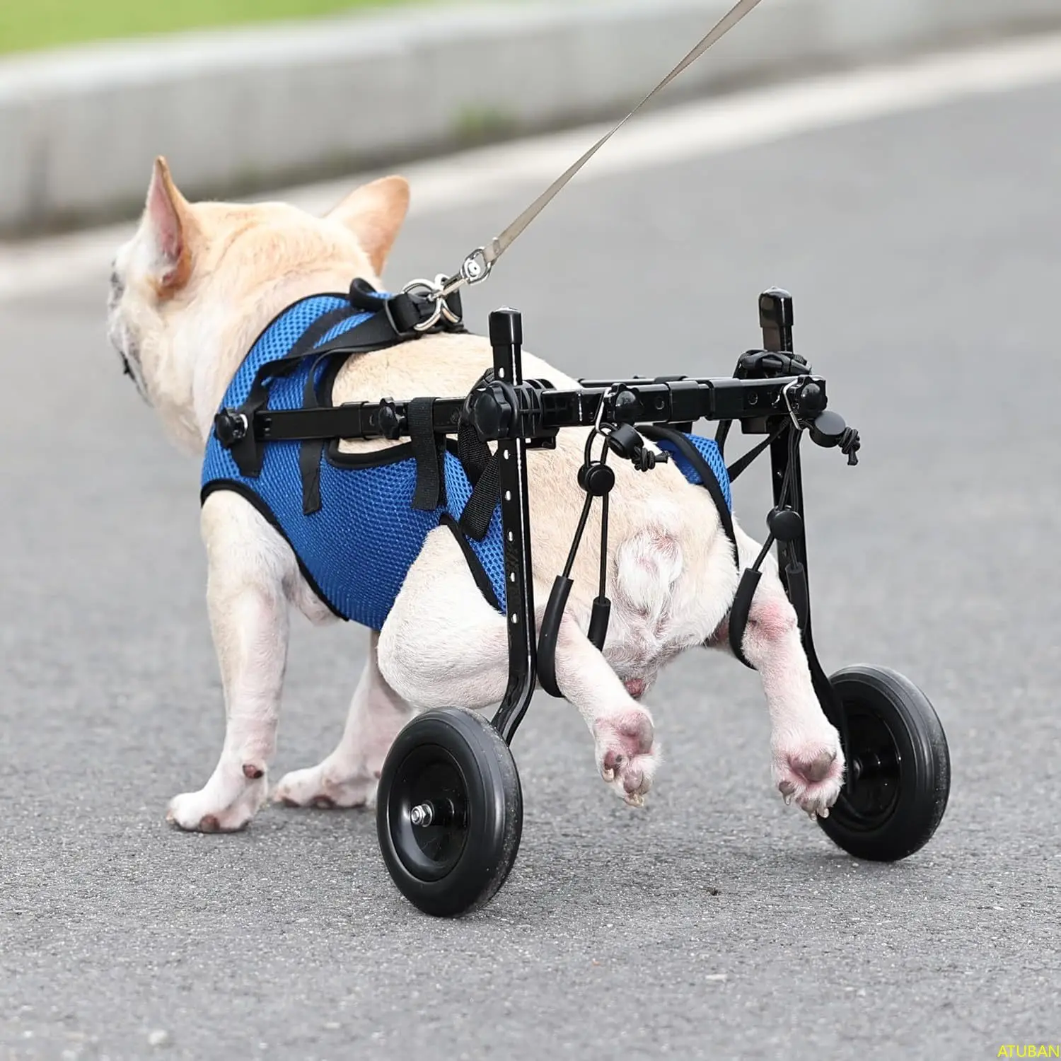 Imagem -04 - Atuban Small Dog Wheelchair Cadeiras de Rodas Ajustáveis para Cães Mobility Aids For Disabled Pets Adequado para Animais Pesando 820 Libras