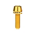 M5x16 Gold