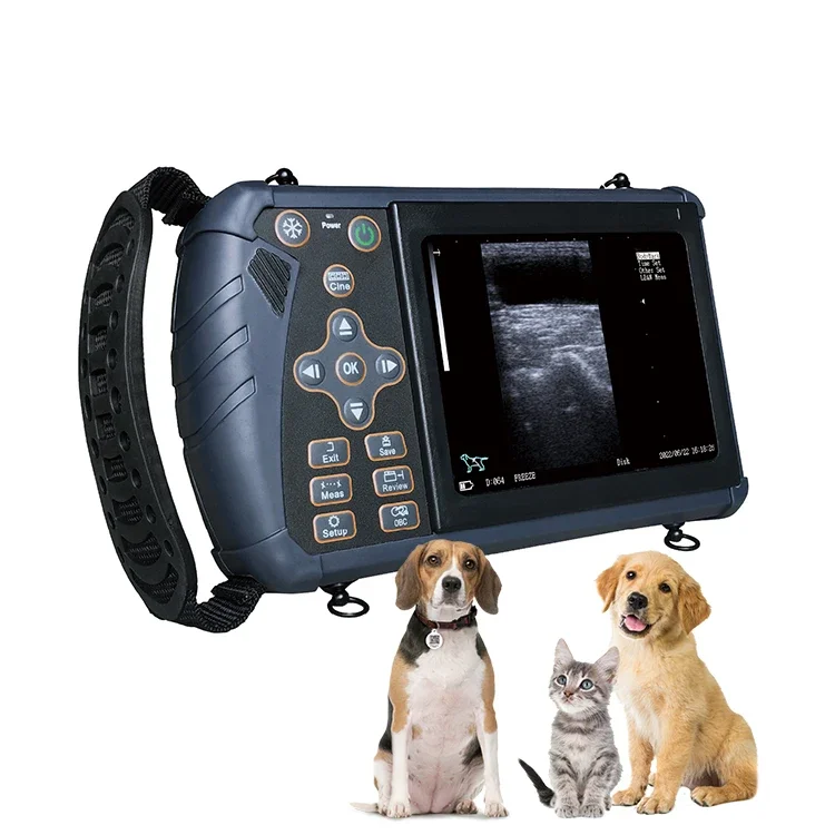 YYHC- Portable Equine Cow Scanning Machine Ultrasound for Animals