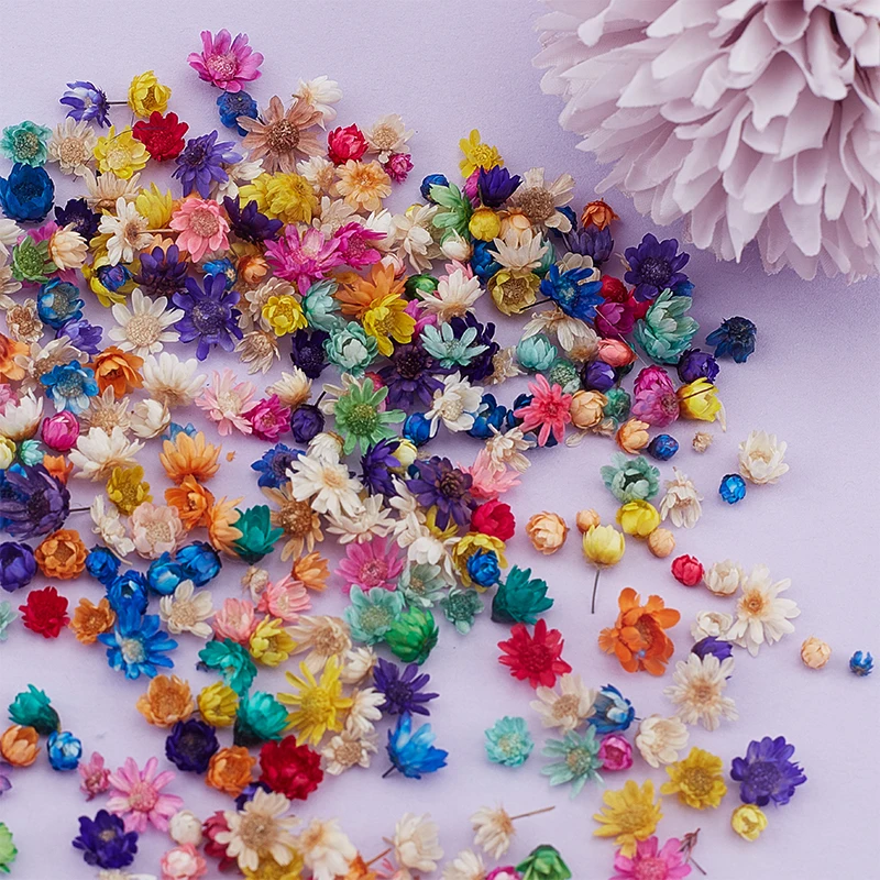 200or100 Pcs Dried Flowers For Epoxy Resin DIY Art Craft Candle Jewellery Making Glass Cover Ball Filler Dry Flowers Accessories